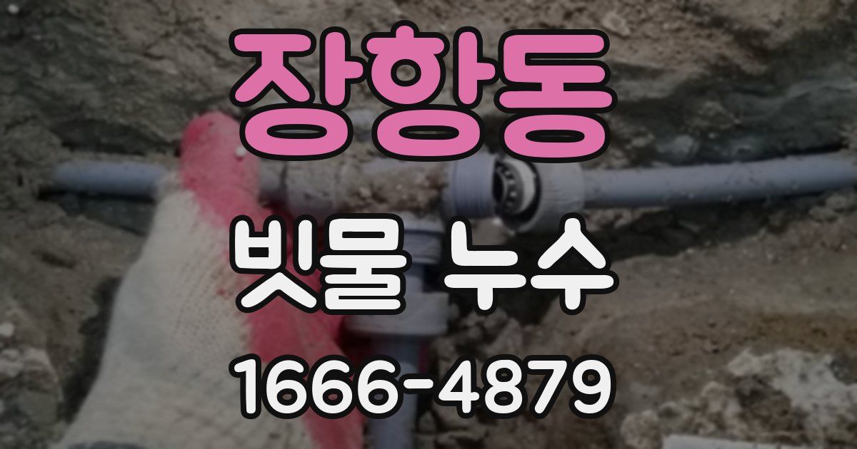 장항동 빗물 누수