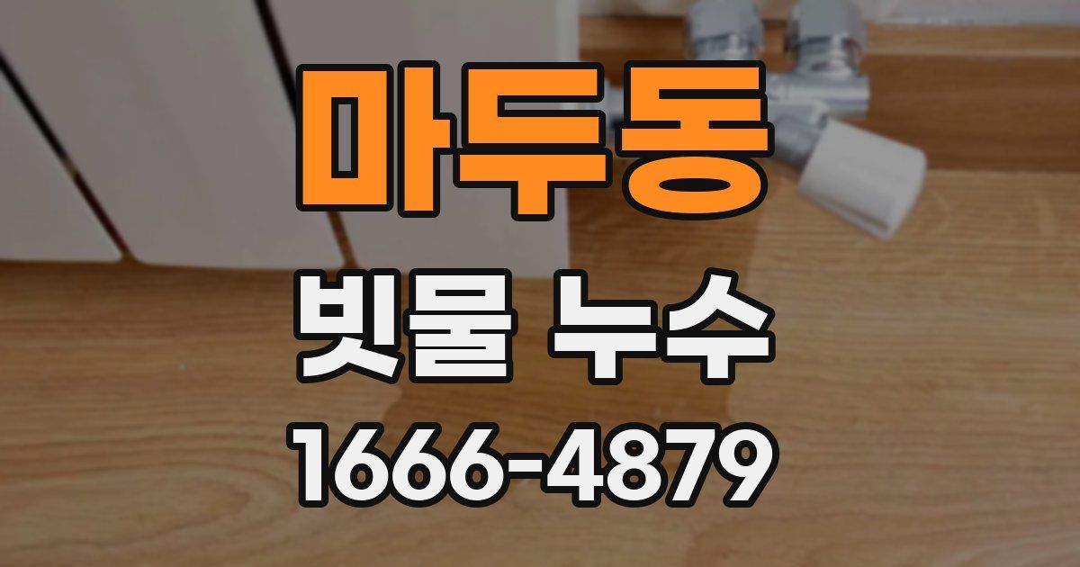 마두동 빗물 누수