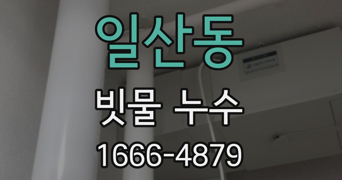일산동 빗물 누수
