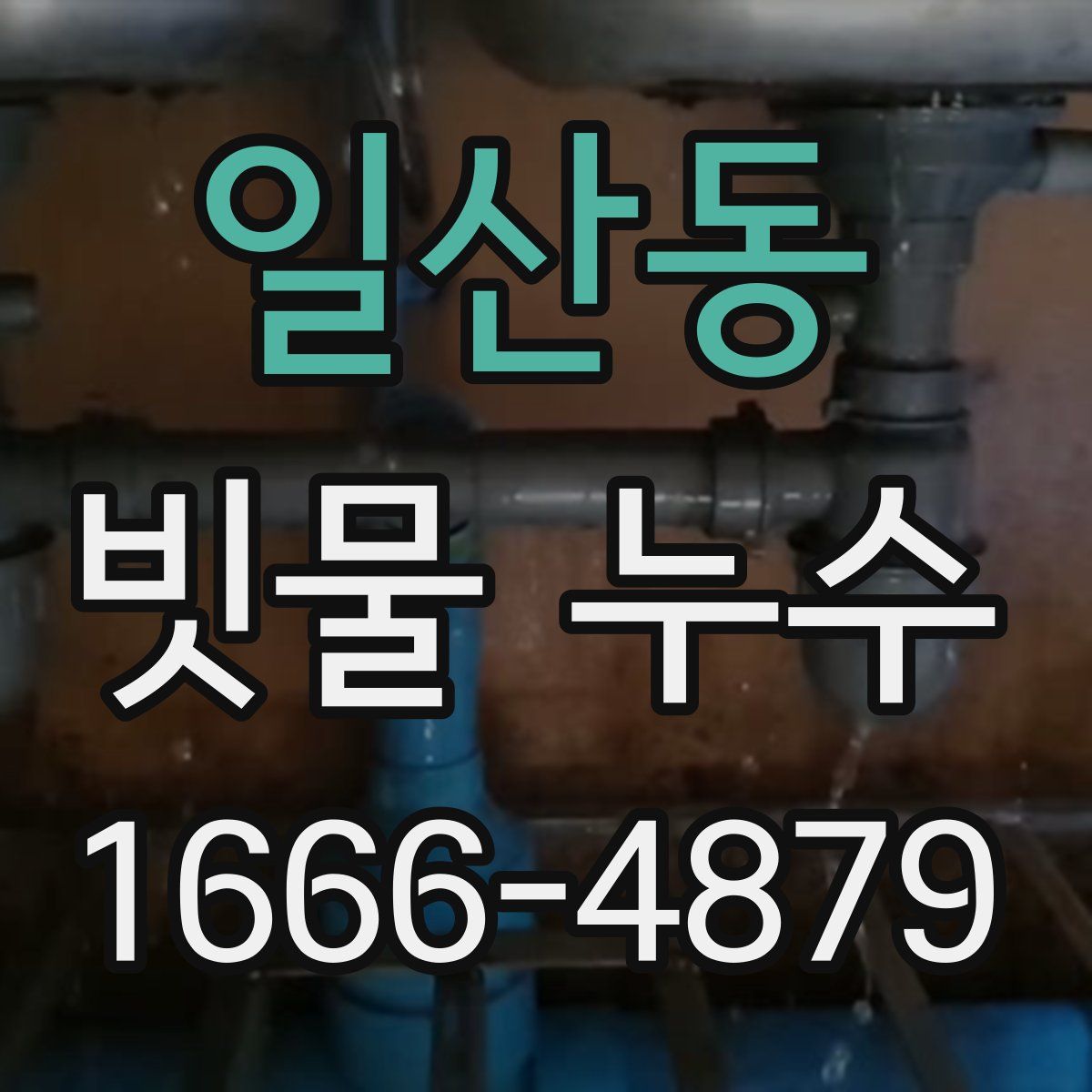 일산동 빗물 누수