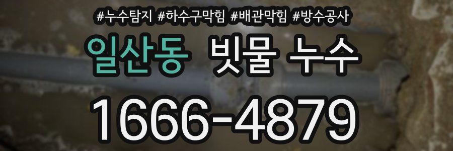 일산동 빗물 누수