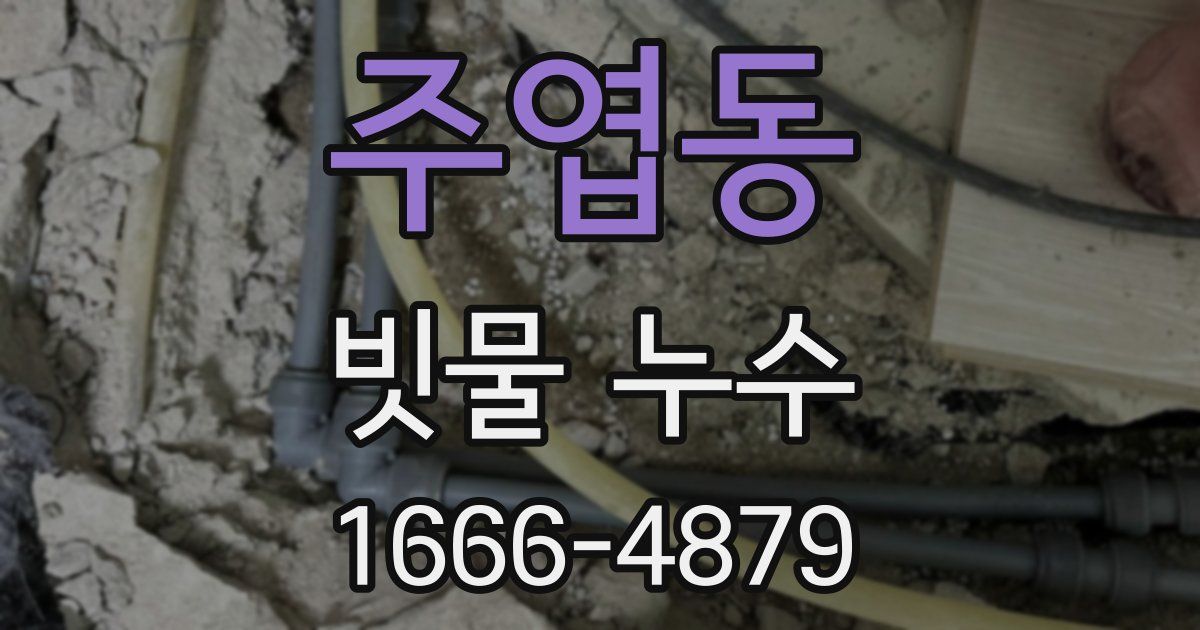 주엽동 빗물 누수