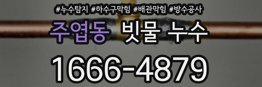 주엽동 빗물 누수
