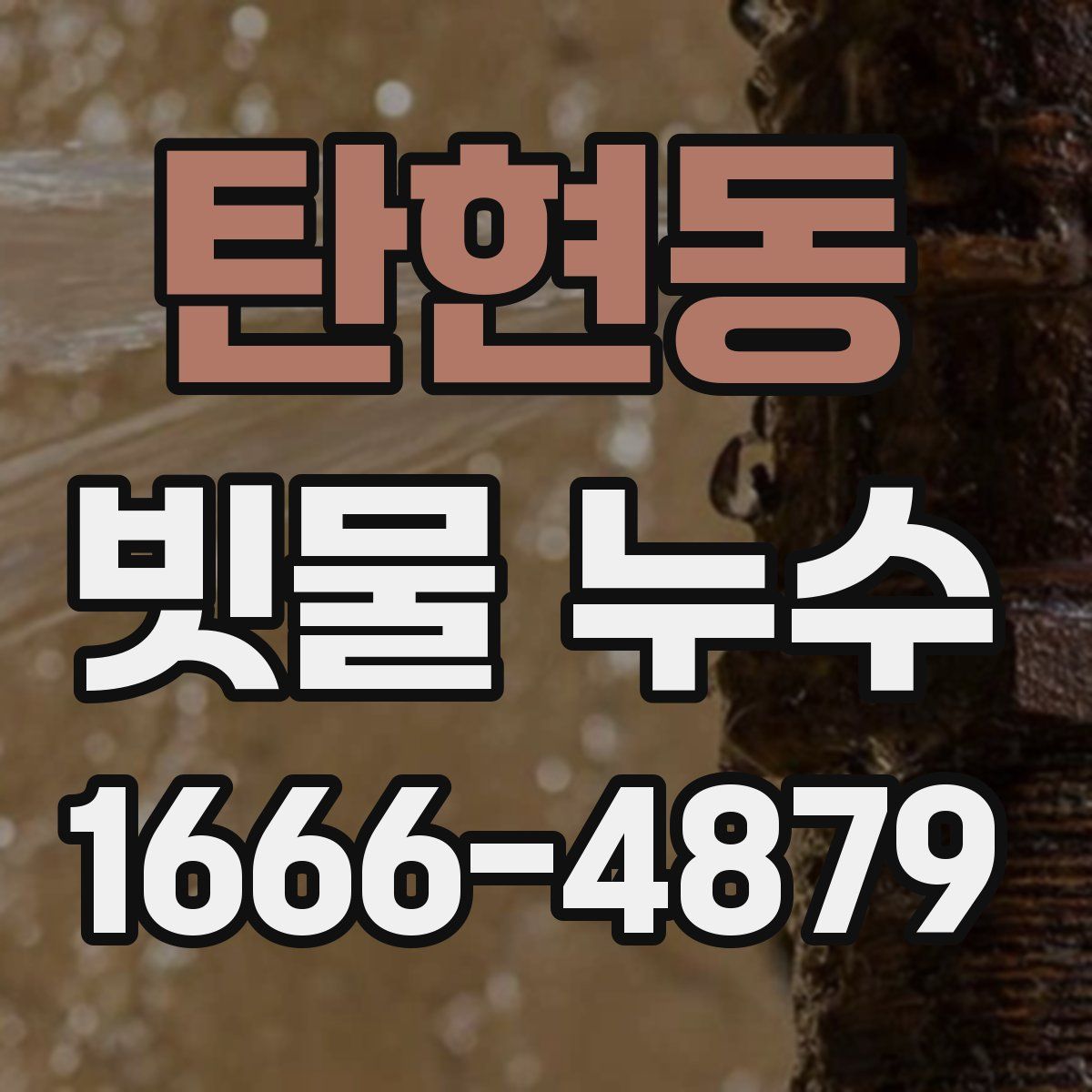 탄현동 빗물 누수