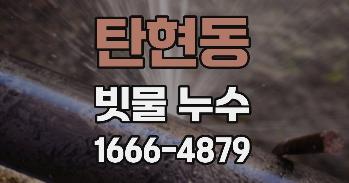 탄현동 빗물 누수