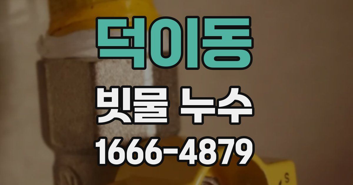 덕이동 빗물 누수