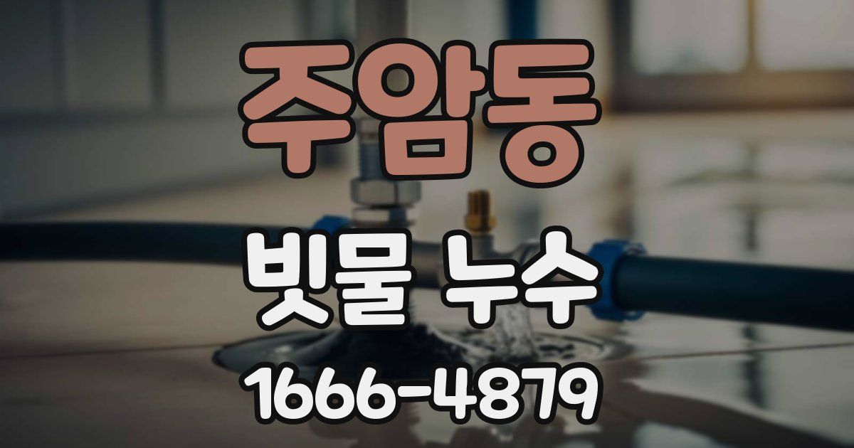주암동 빗물 누수