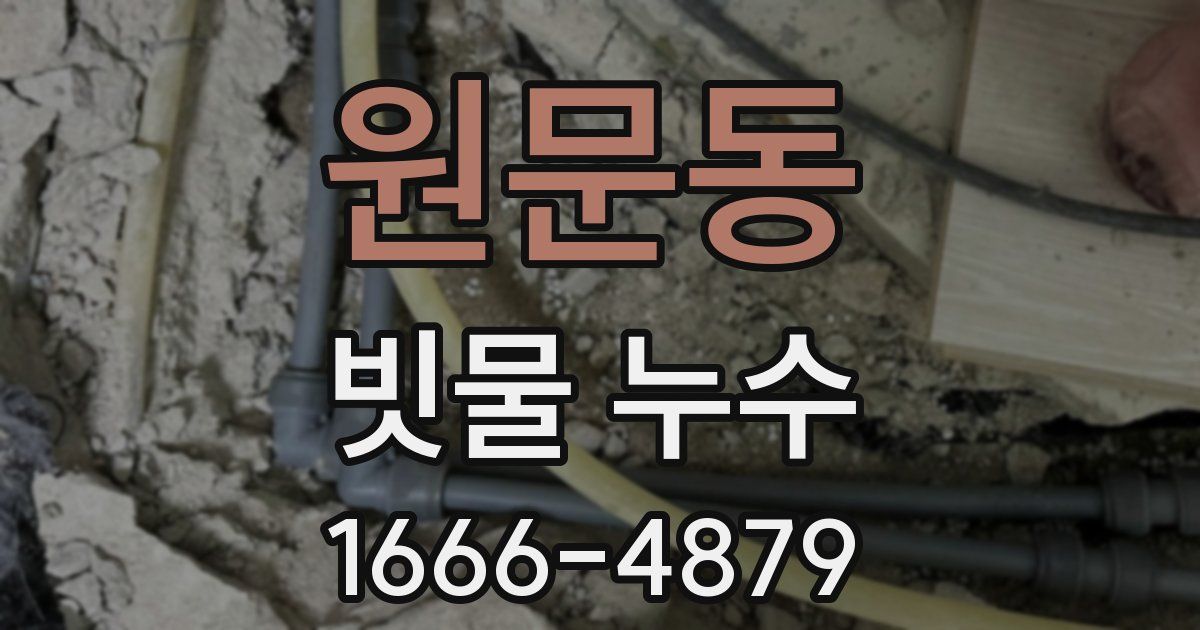 원문동 빗물 누수