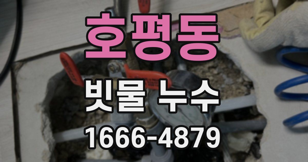 호평동 빗물 누수