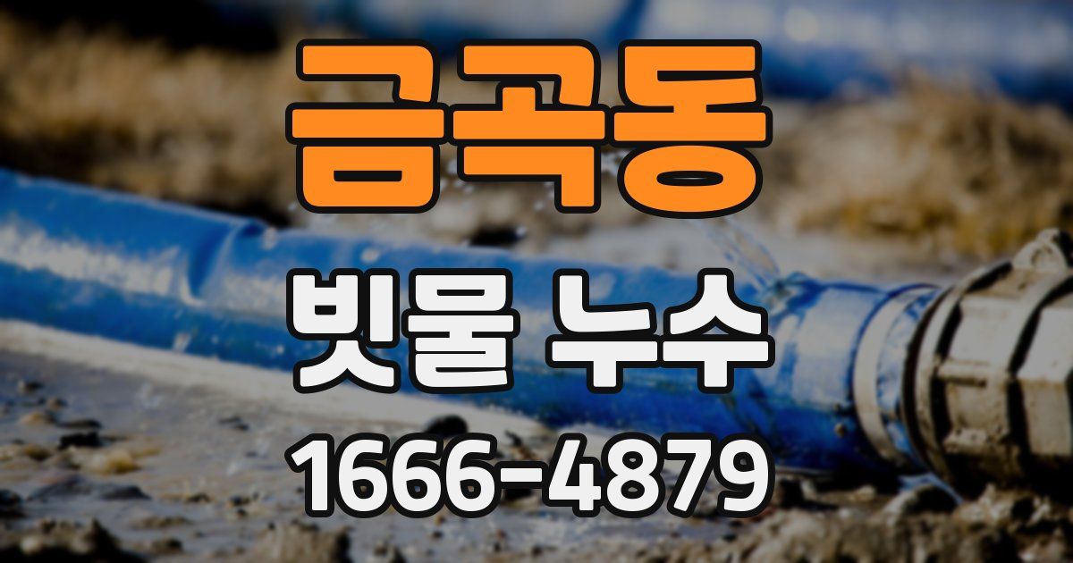 금곡동 빗물 누수