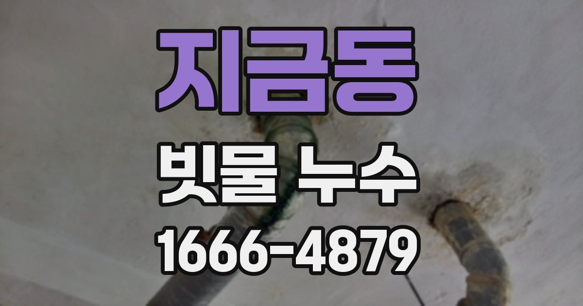 지금동 빗물 누수