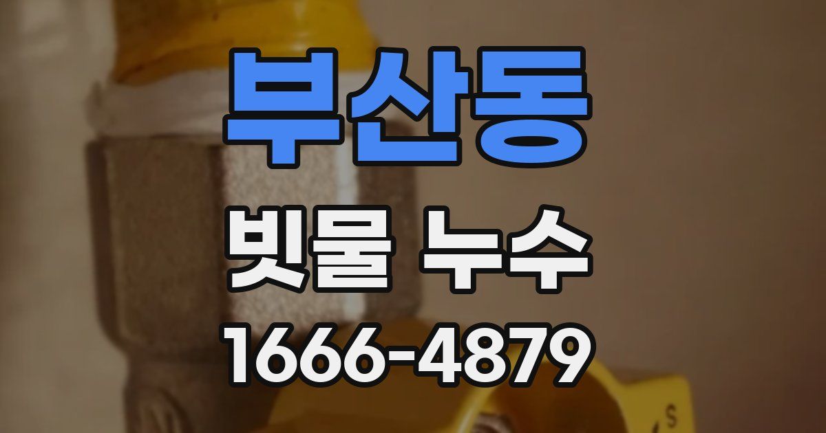 부산동 빗물 누수