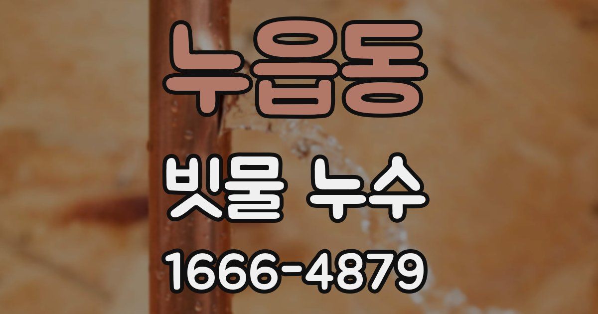 누읍동 빗물 누수