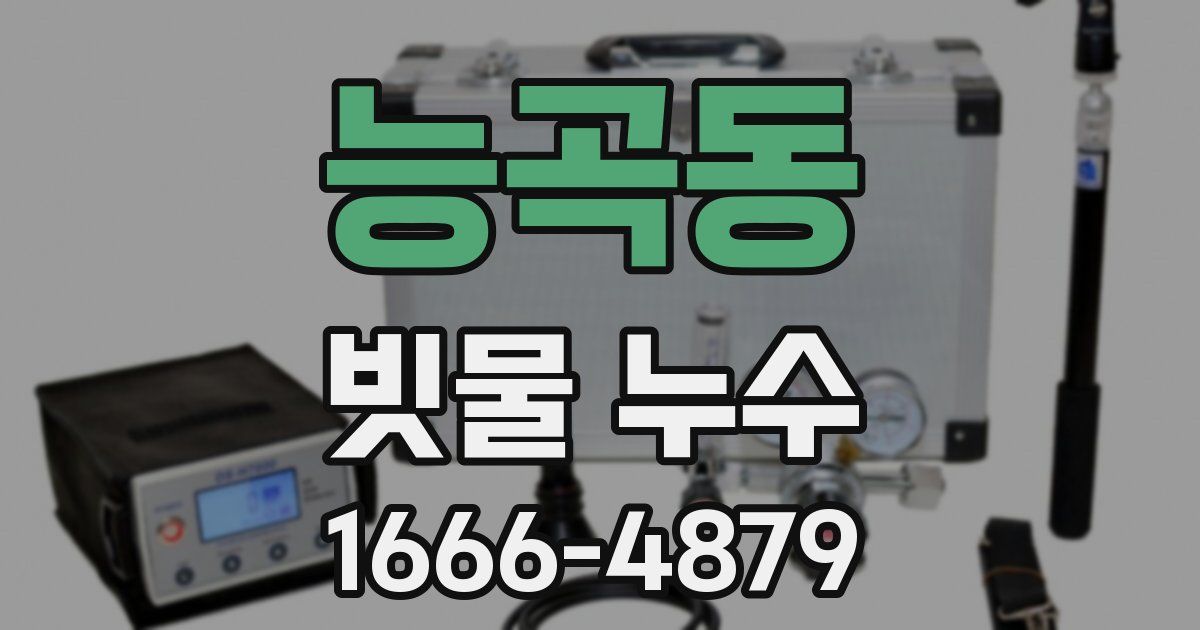 능곡동 빗물 누수