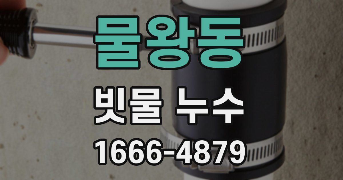 물왕동 빗물 누수