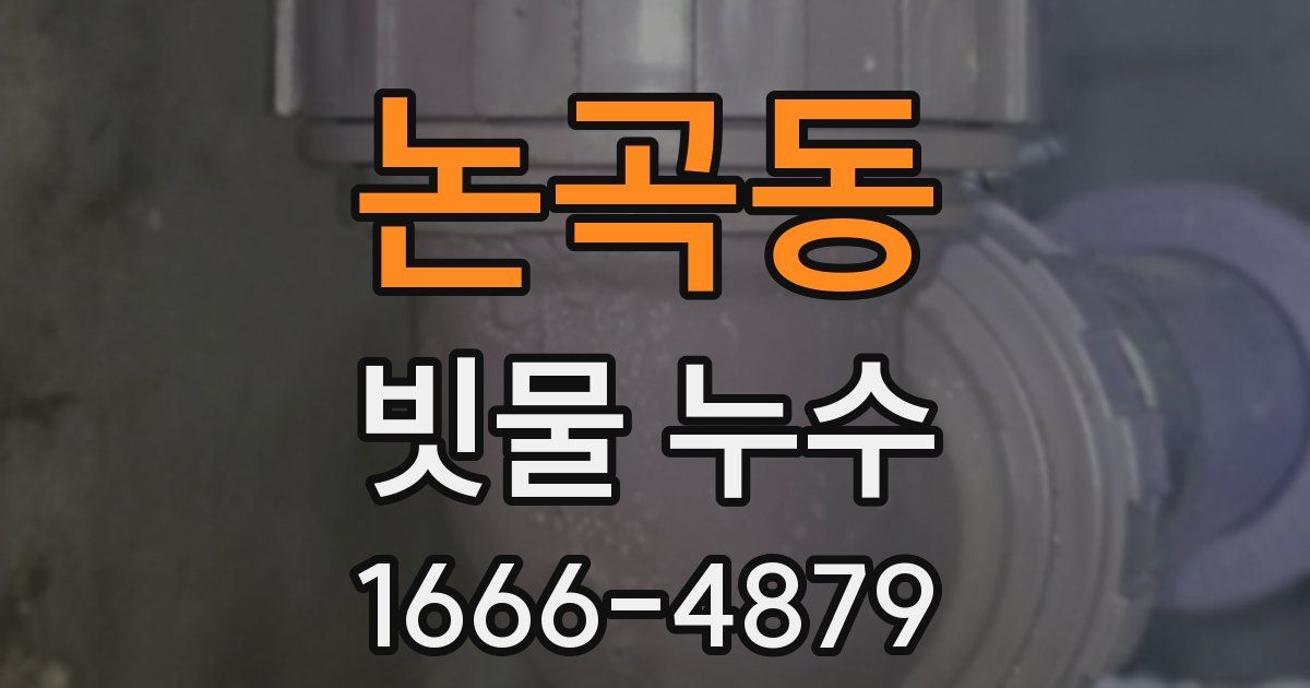논곡동 빗물 누수