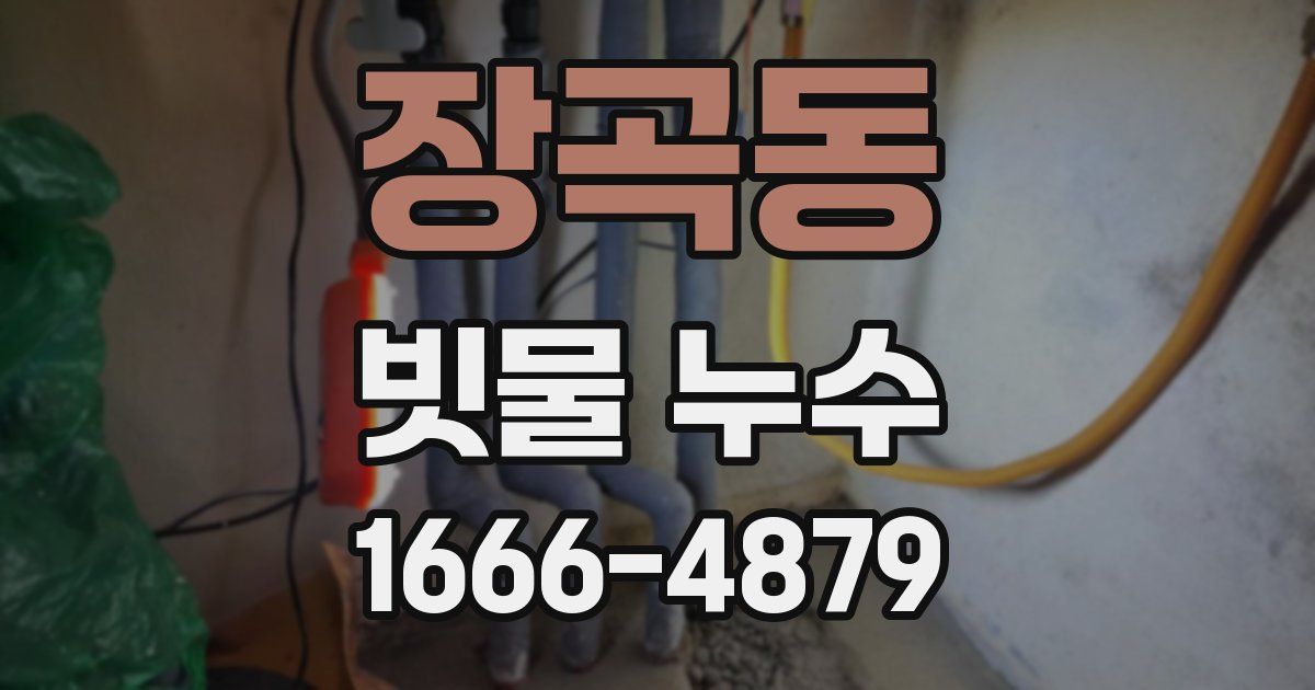 장곡동 빗물 누수