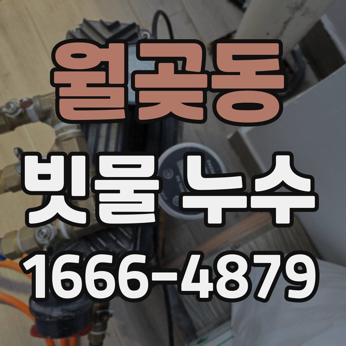 월곶동 빗물 누수