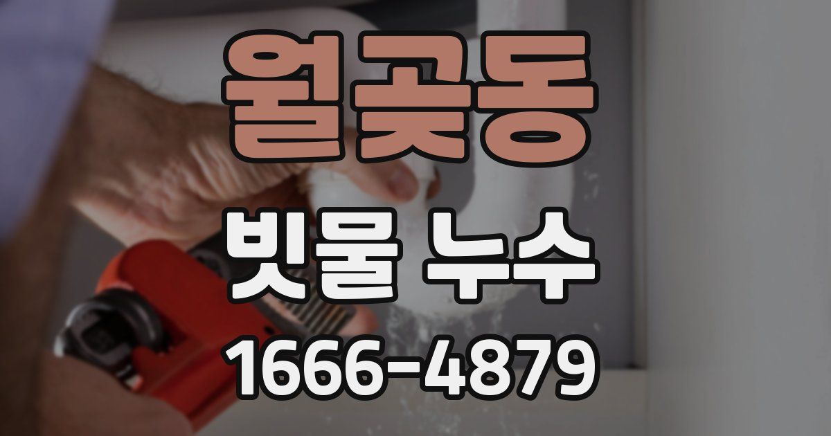 월곶동 빗물 누수