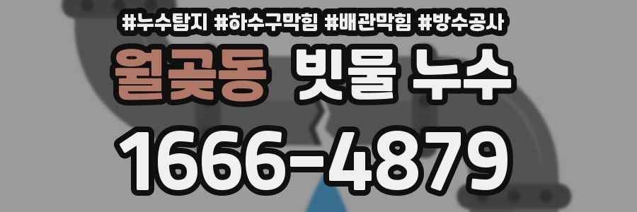 월곶동 빗물 누수