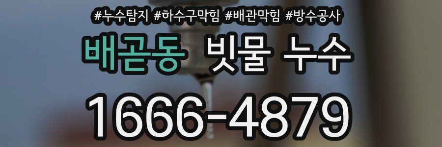 배곧동 빗물 누수