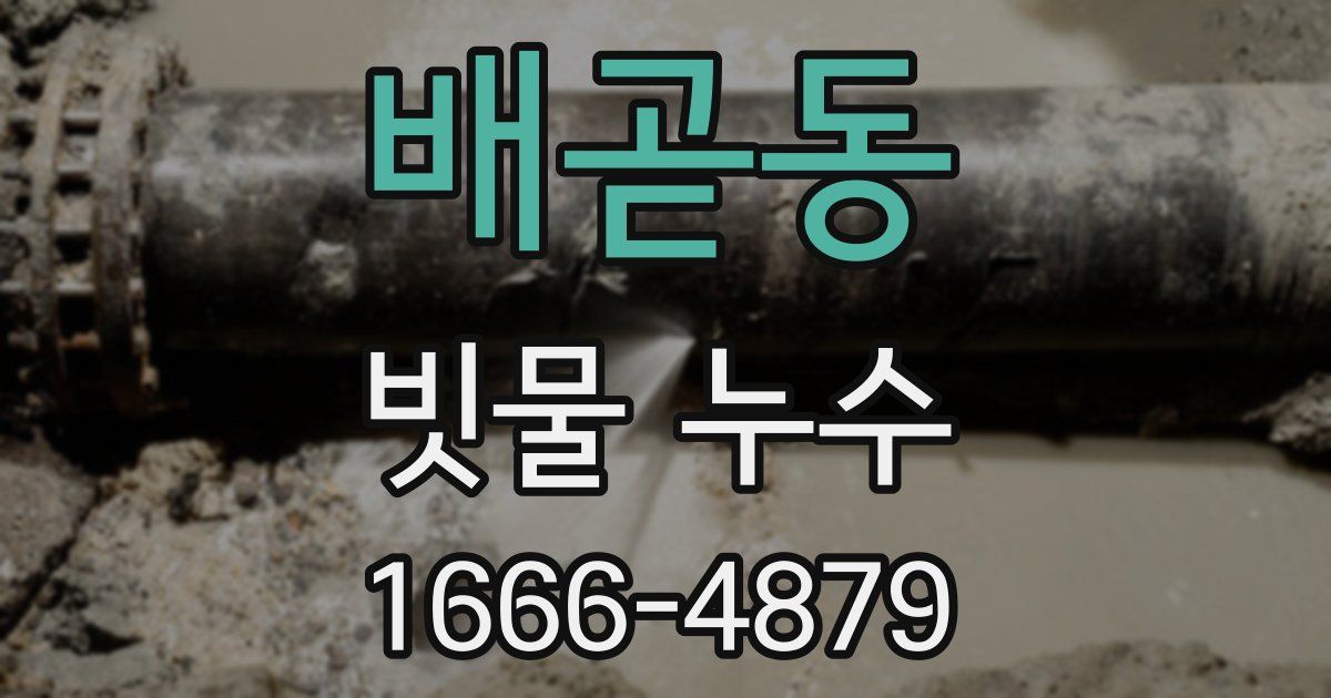 배곧동 빗물 누수