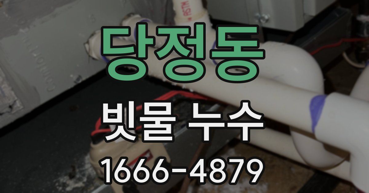 당정동 빗물 누수