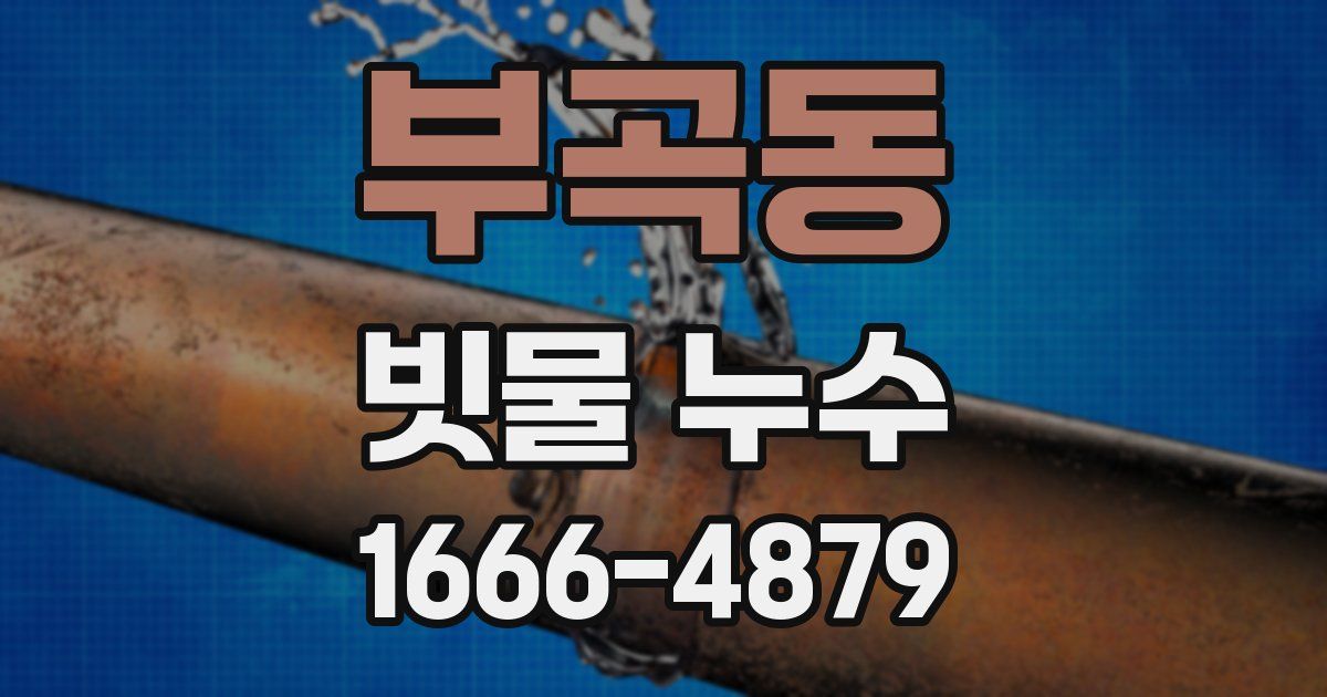 부곡동 빗물 누수