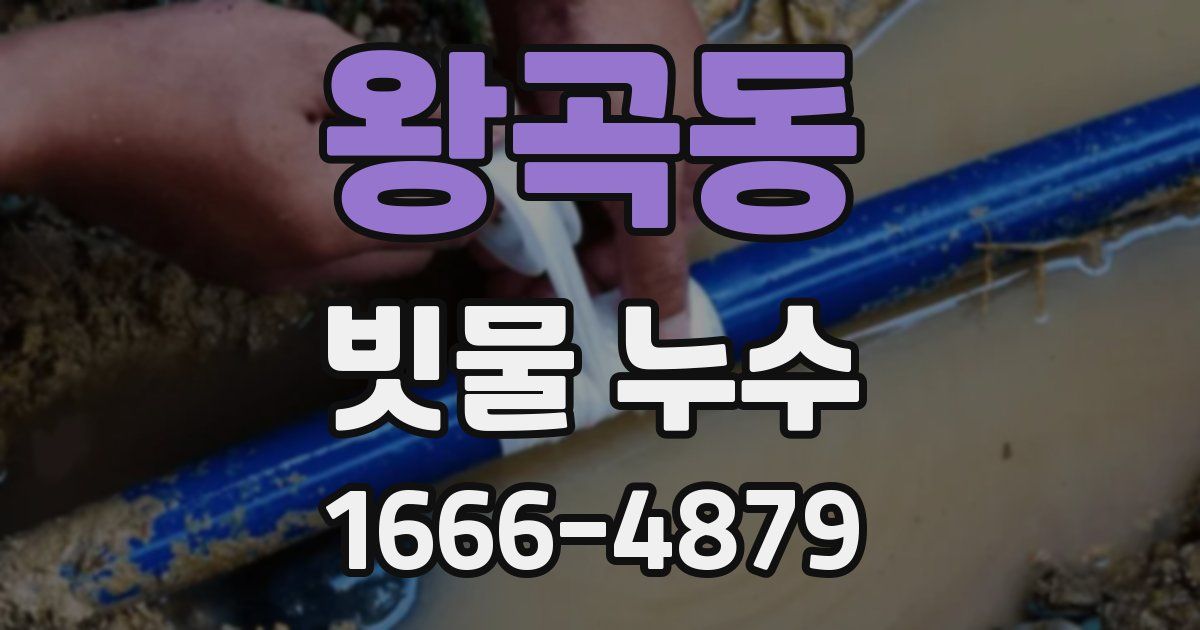 왕곡동 빗물 누수