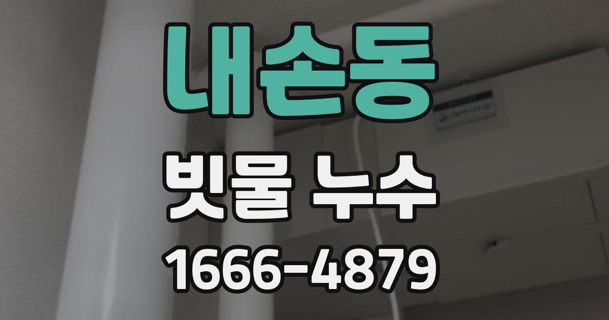 내손동 빗물 누수