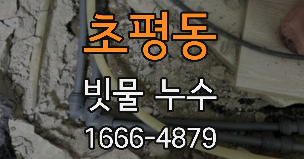 초평동 빗물 누수