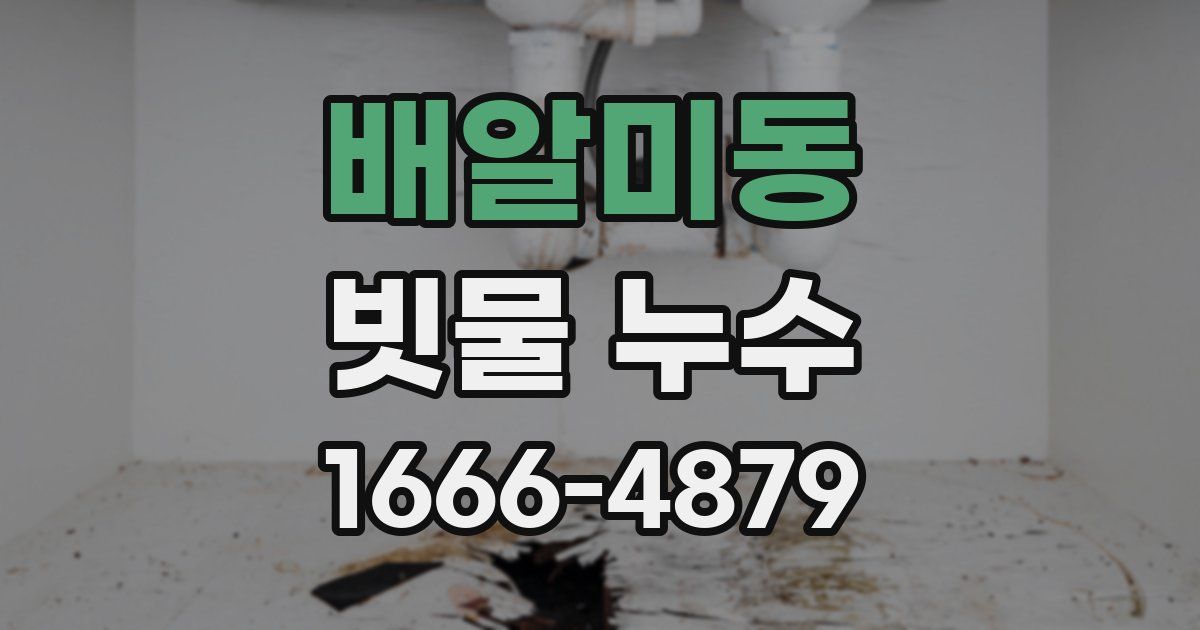 배알미동 빗물 누수