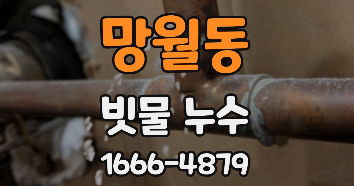 망월동 빗물 누수