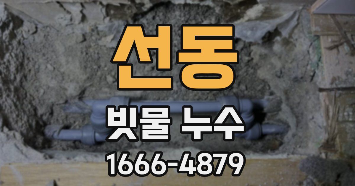 선동 빗물 누수