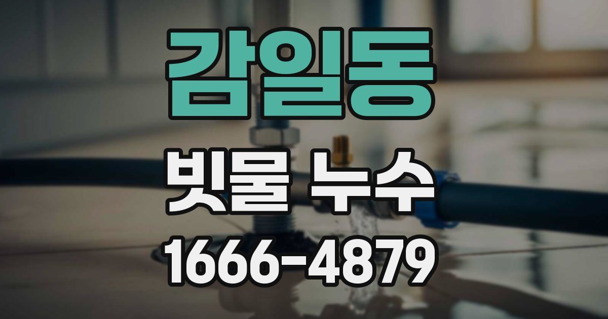 감일동 빗물 누수