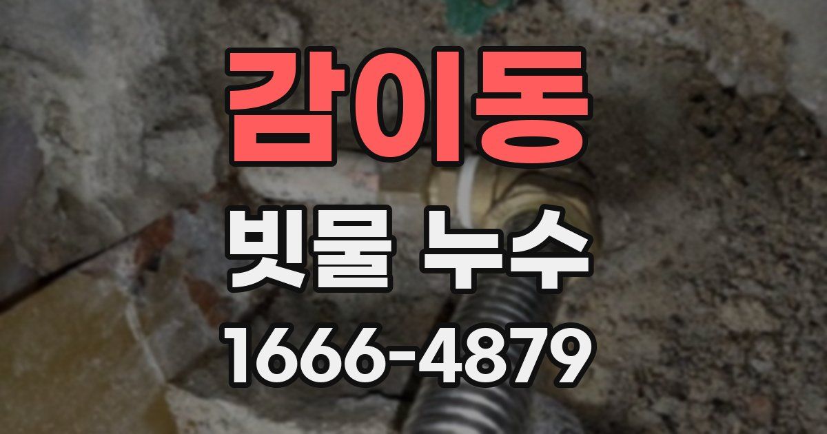 감이동 빗물 누수