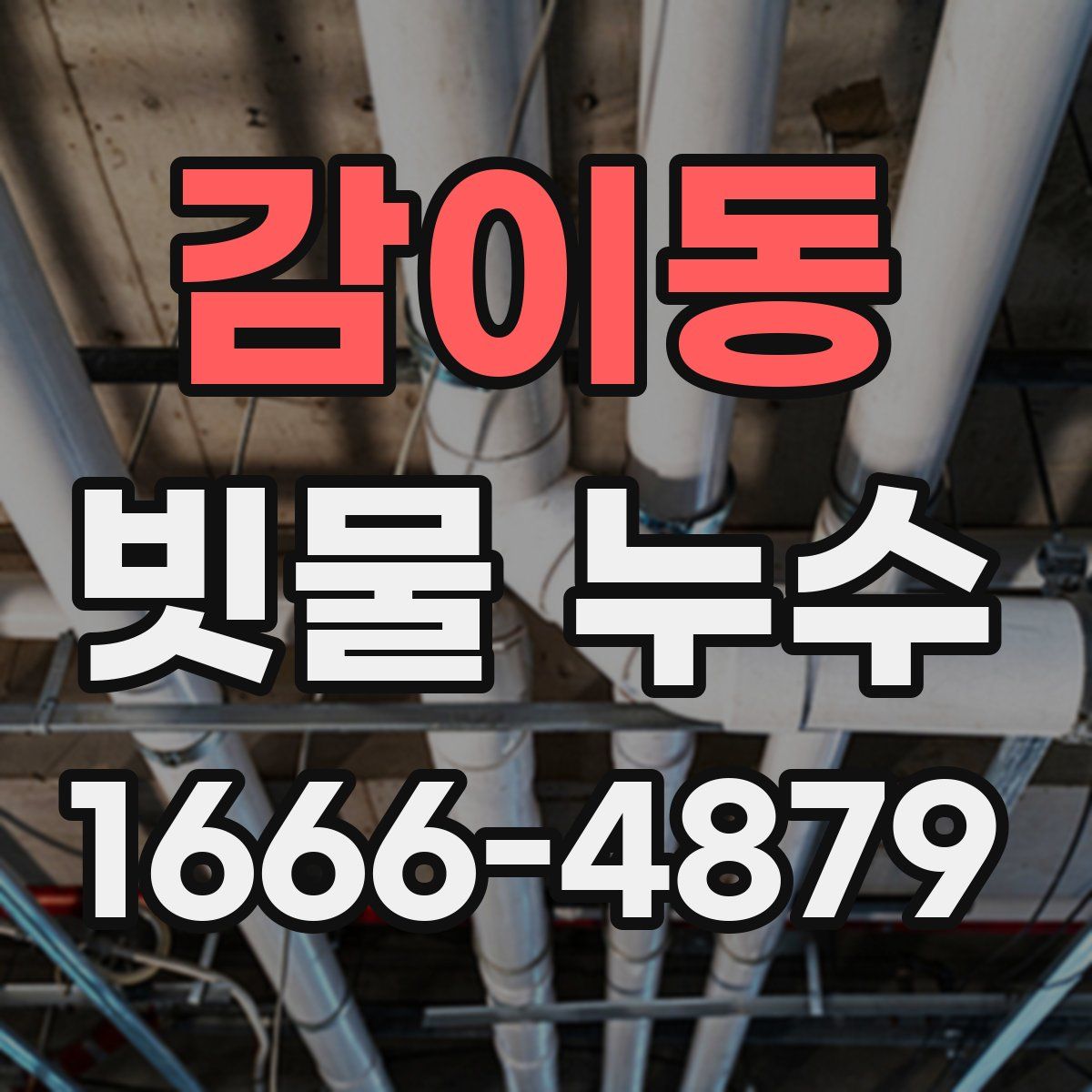 감이동 빗물 누수