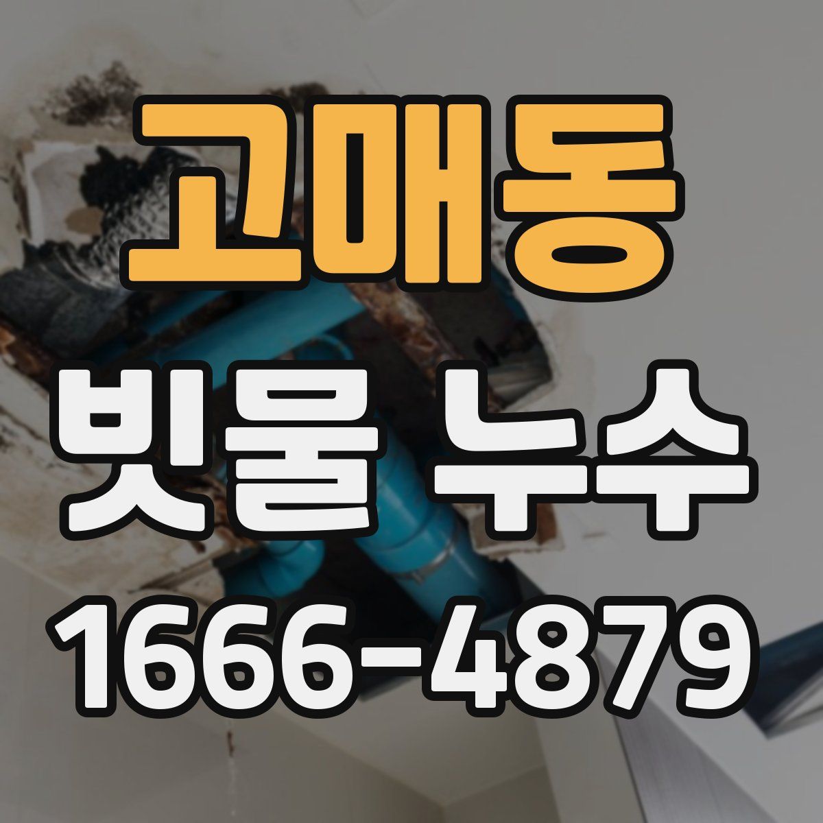 고매동 빗물 누수