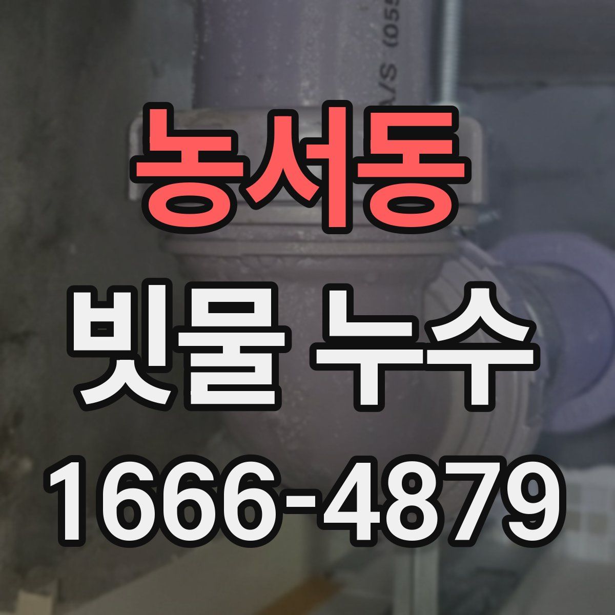 농서동 빗물 누수