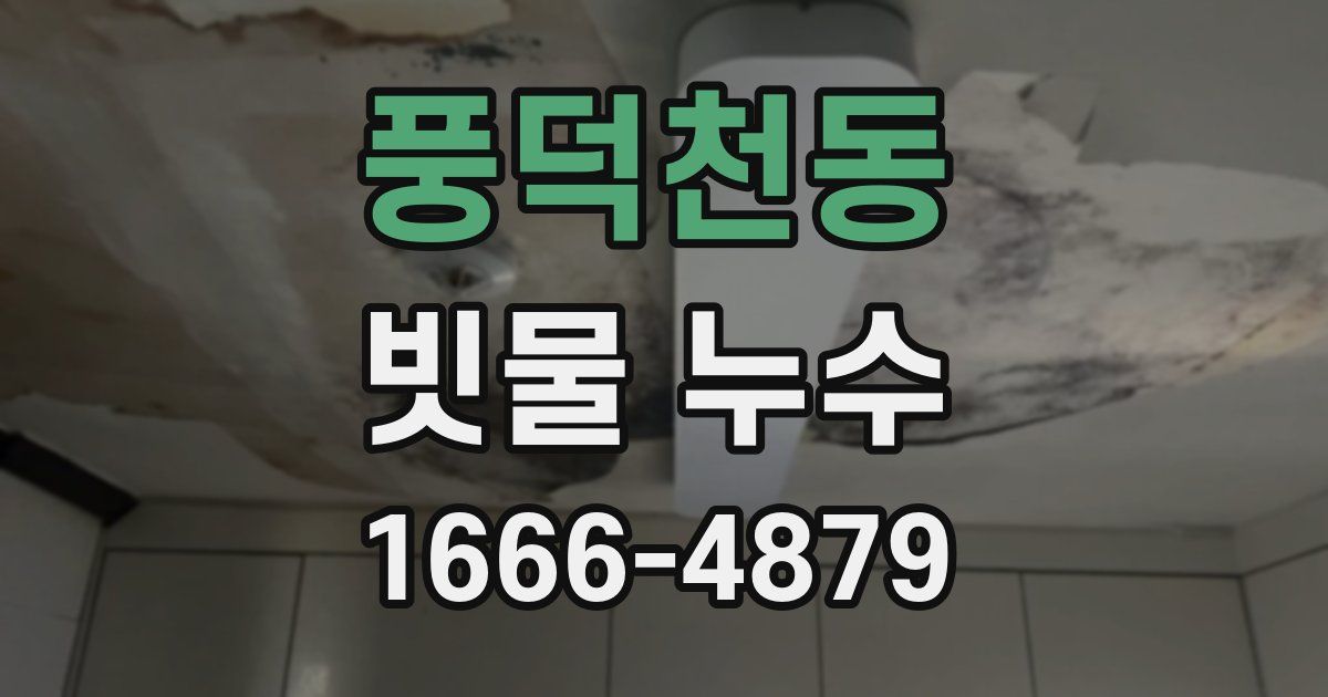 풍덕천동 빗물 누수