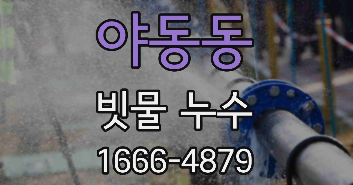 야동동 빗물 누수