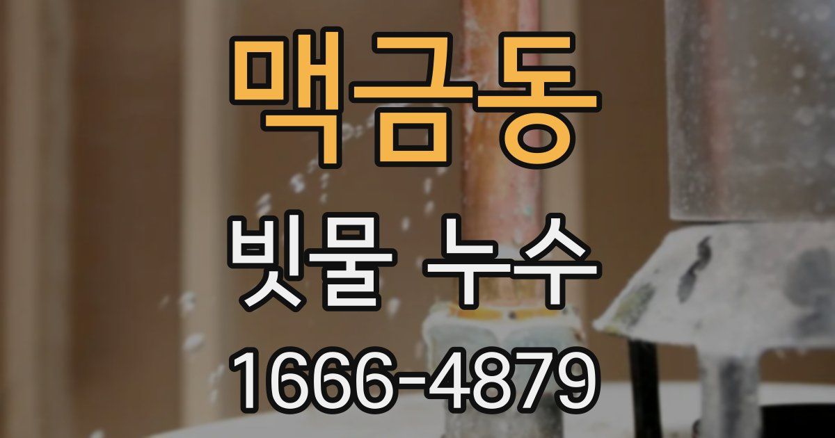 맥금동 빗물 누수