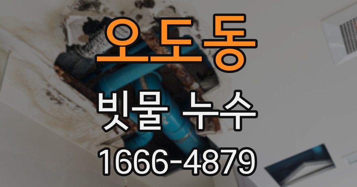 오도동 빗물 누수