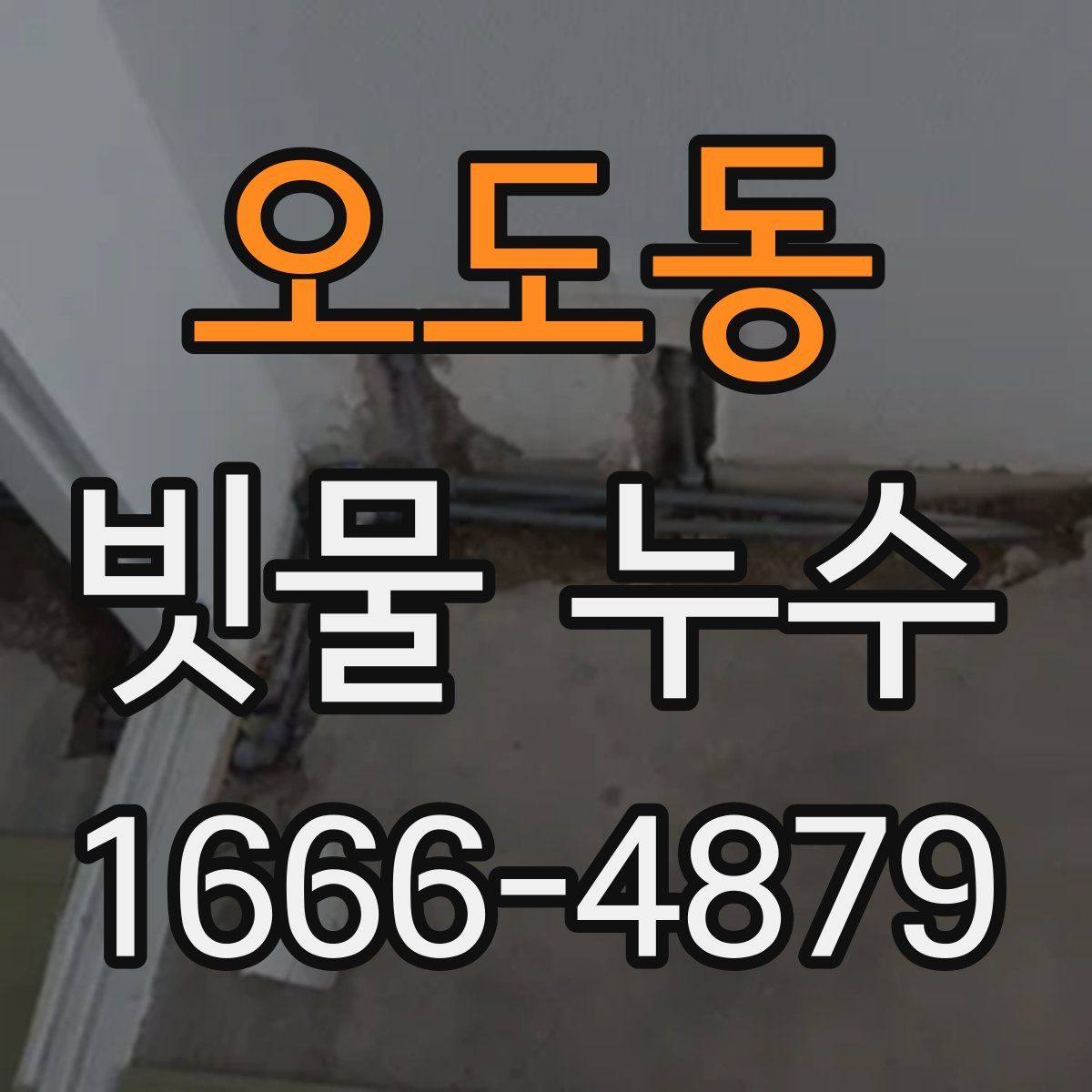 오도동 빗물 누수