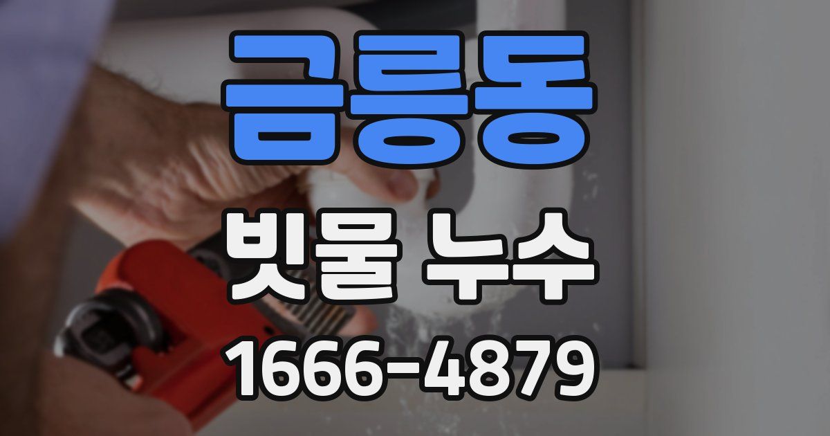 금릉동 빗물 누수