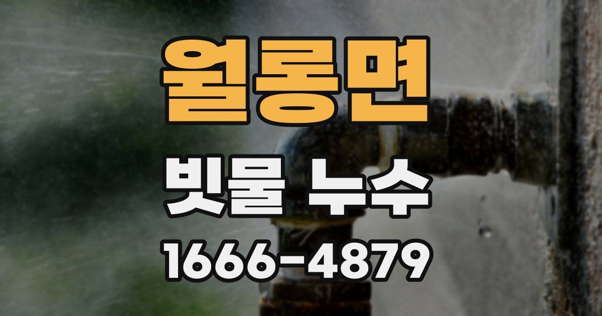월롱면 빗물 누수