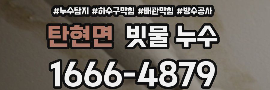 탄현면 빗물 누수
