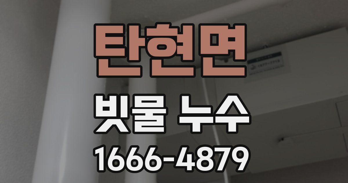 탄현면 빗물 누수