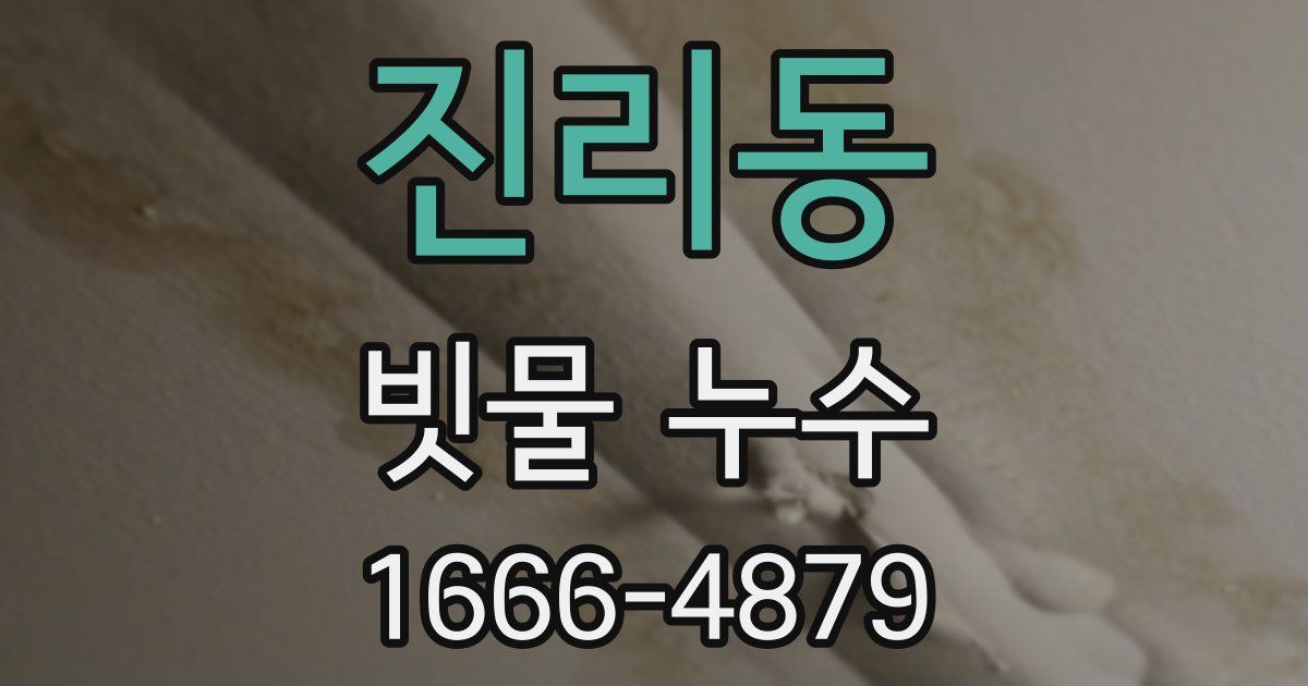 진리동 빗물 누수
