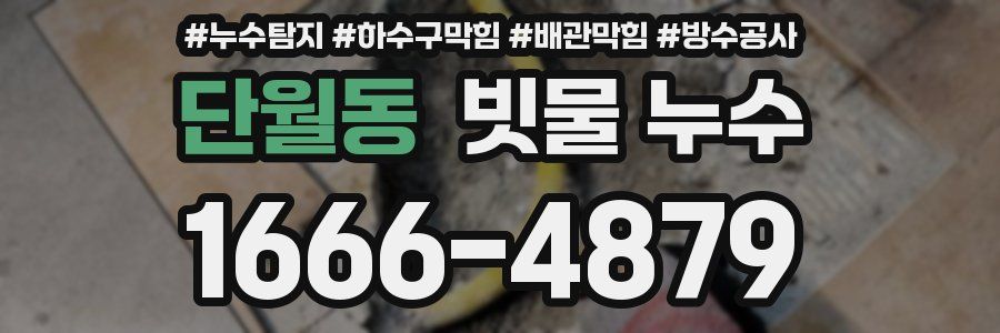 단월동 빗물 누수